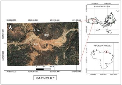 Ecophysiological traits change little along a successional gradient in a tropical dry deciduous woodland from Margarita Island, Venezuela